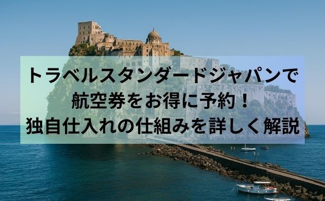 トラベルスタンダードジャパンで航空券をお得に予約！独自仕入れの仕組みを詳しく解説