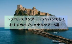 トラベルスタンダードジャパンで行くおすすめオプショナルツアー5選！
