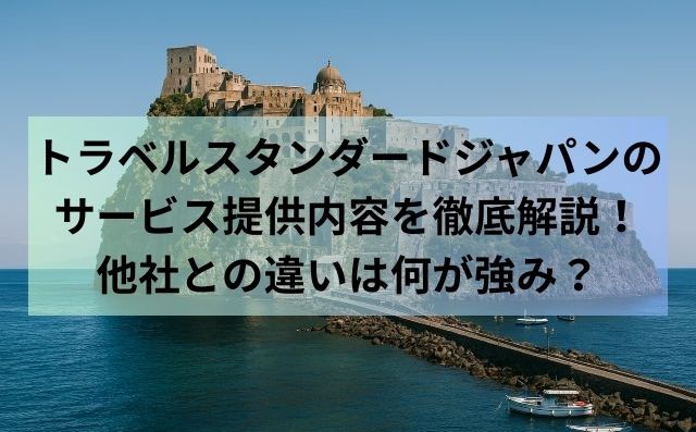 トラベルスタンダードジャパンのサービス提供内容を徹底解説！他社との違いは何が強み？