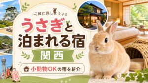 うさぎと泊まれる宿を関西で厳選!小動物OKの宿と予約前の注意点を紹介