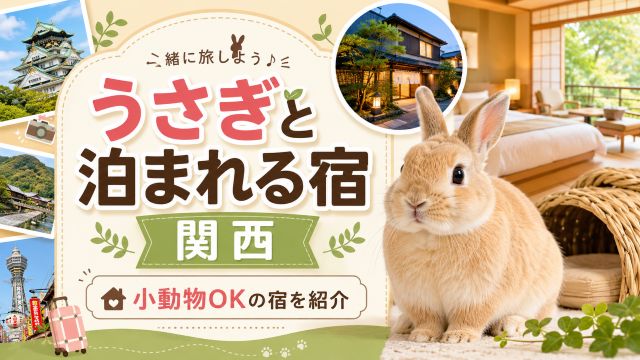 うさぎと泊まれる宿を関西で厳選！小動物OKの宿と予約前の注意点を紹介