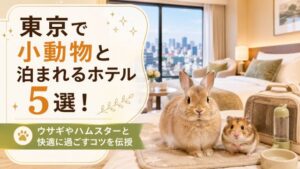 東京で小動物と泊まれるホテル5選！ウサギやハムスターと快適に過ごすコツを伝授