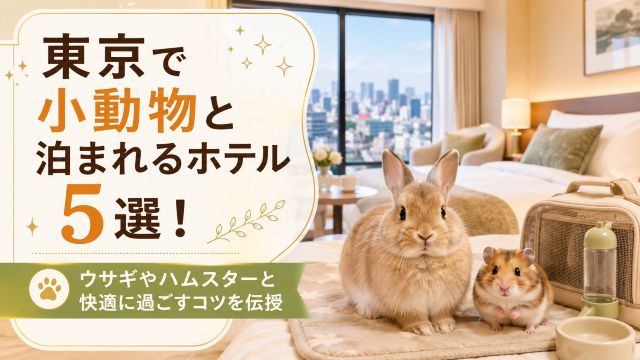 東京で小動物と泊まれるホテル5選！ウサギやハムスターと快適に過ごすコツを伝授