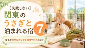 【失敗しない】関東のうさぎと泊まれる宿7選!愛兎が安全に過ごせる環境や利点を紹介