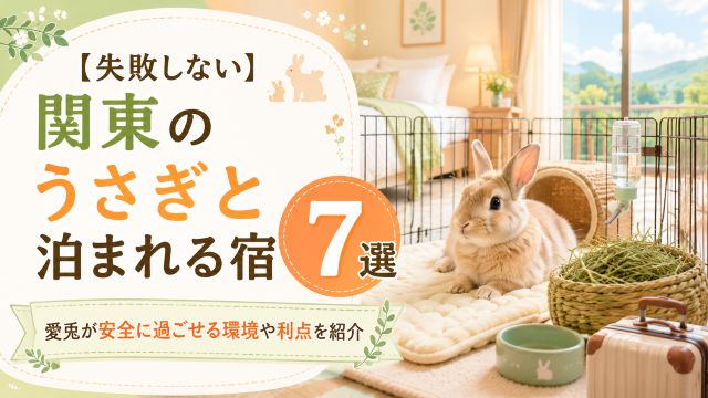【失敗しない】関東のうさぎと泊まれる宿7選!愛兎が安全に過ごせる環境や利点を紹介