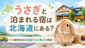うさぎと泊まれる宿は北海道にある?小動物対応の宿選びと注意点を解説